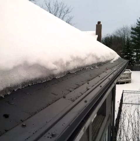 Gutter Protection System Naperville Carbone House Watt Pic